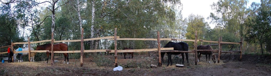 DSC_0839_stitch.jpg