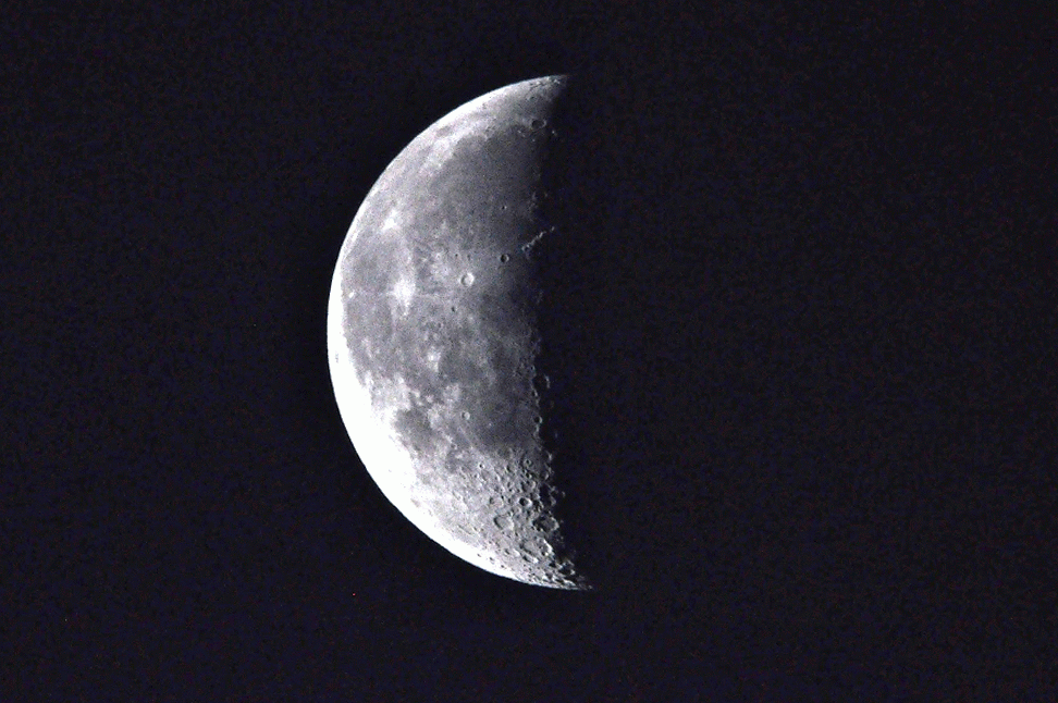 DSC_2414-MOTION.gif