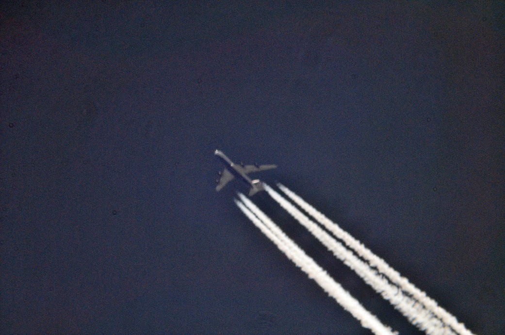 DSC_2514.jpg