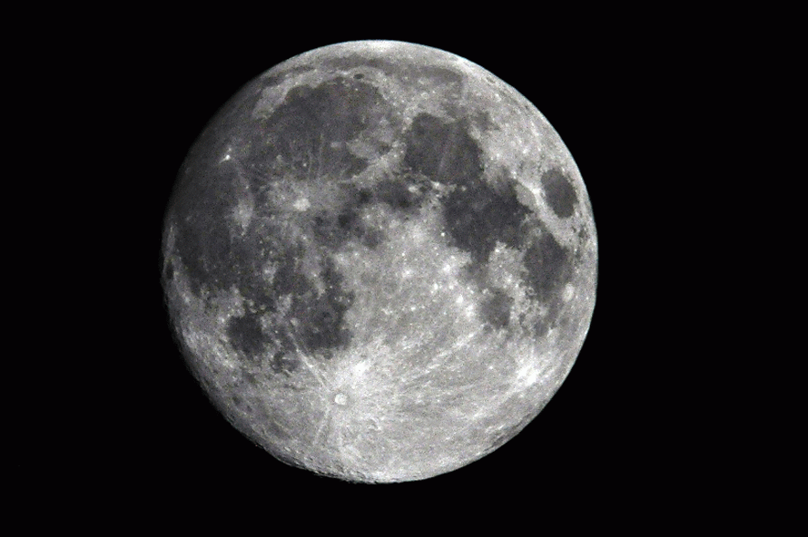 DSC_3124-MOTION.gif