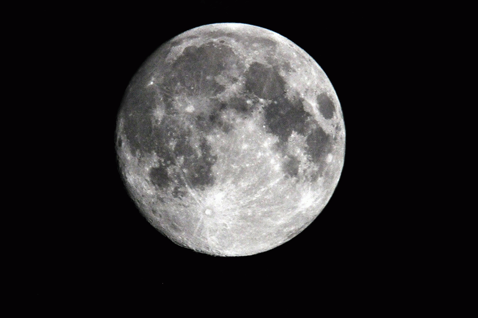 DSC_3135-MOTION.gif