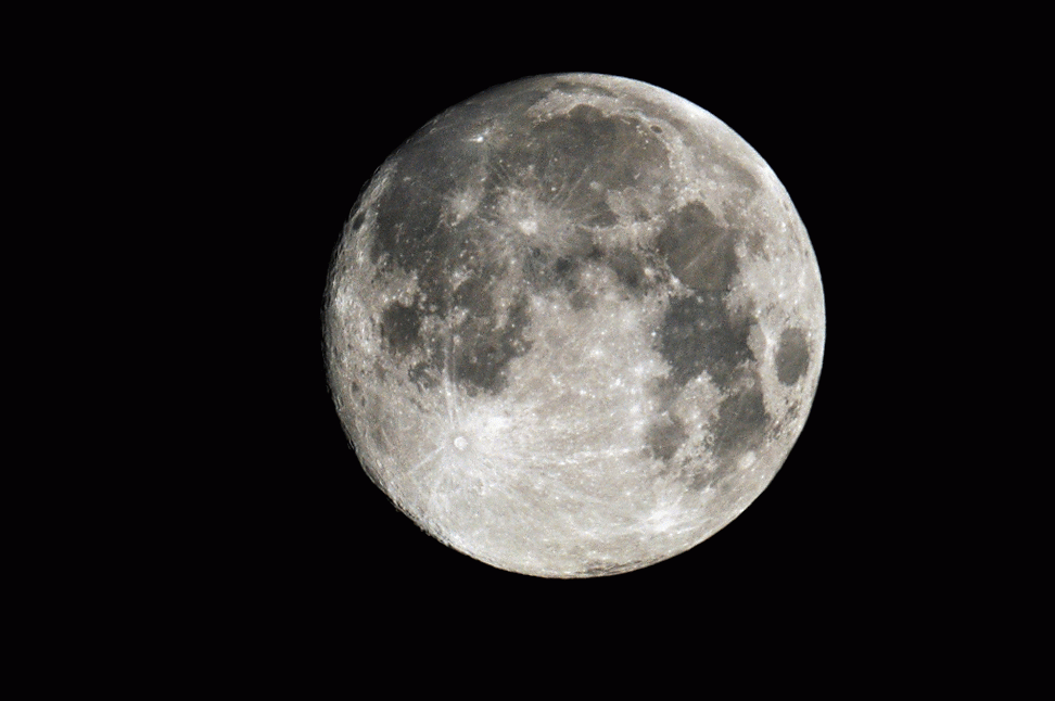 DSC_3246-MOTION.gif