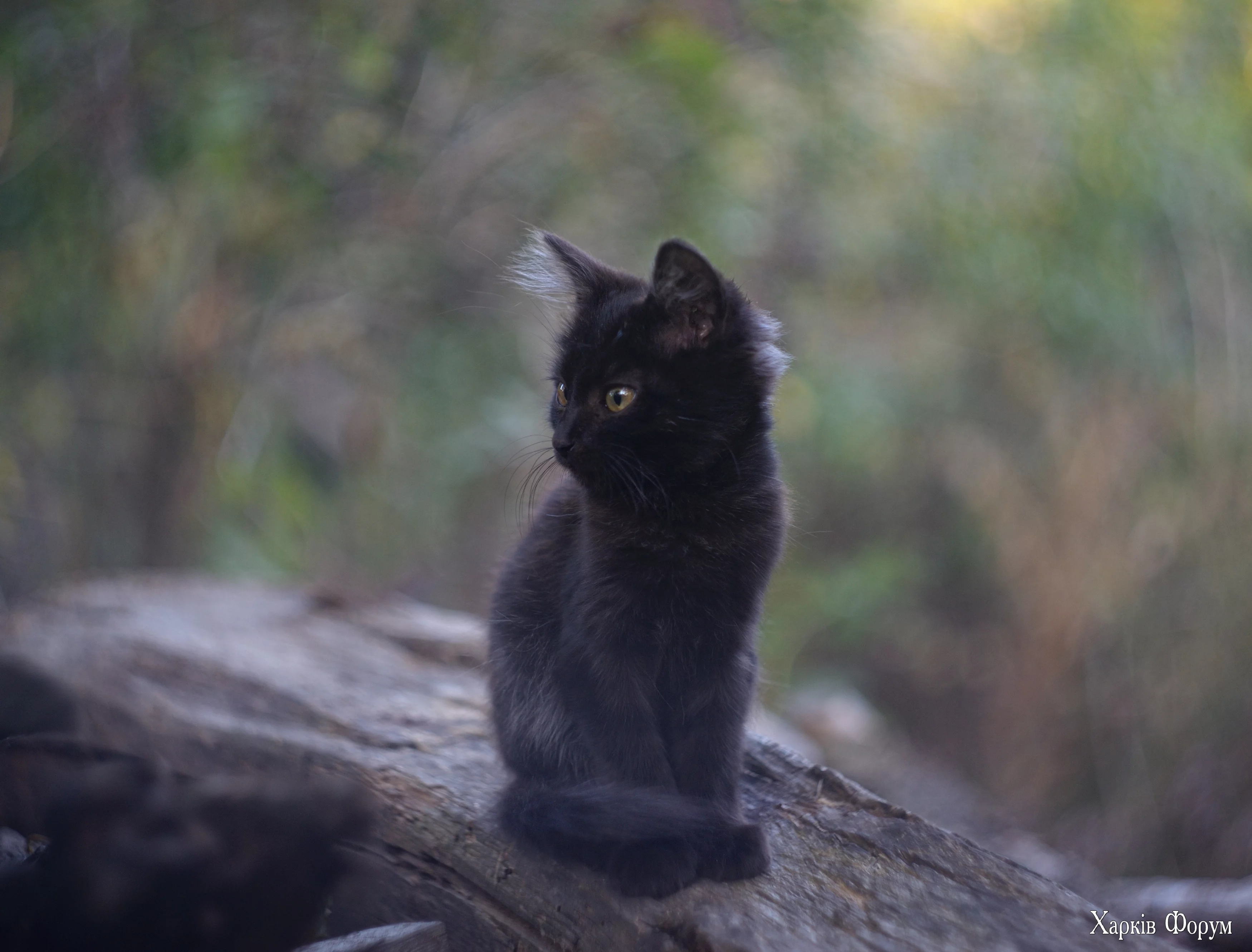 DSC_4714.jpg
