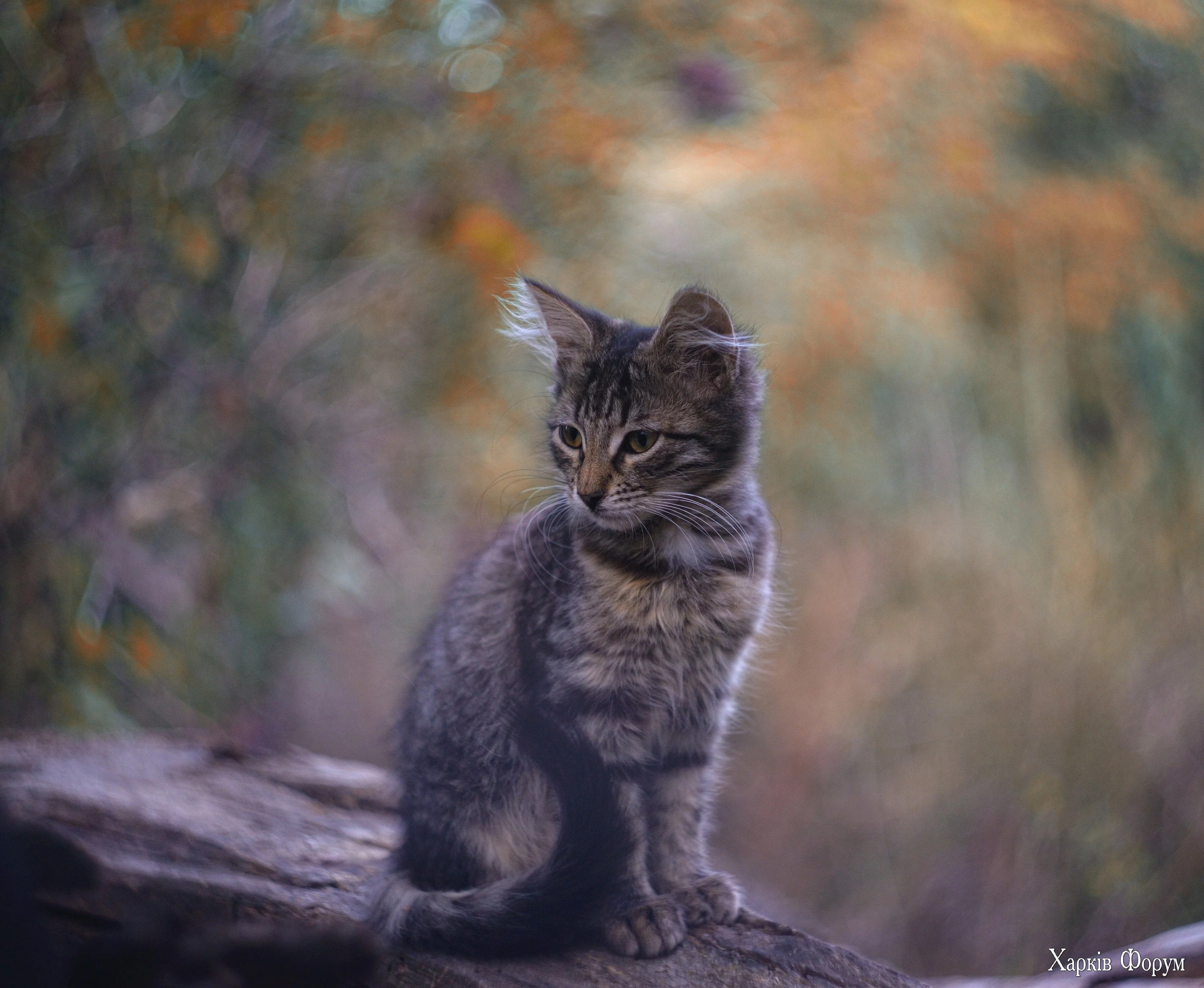 DSC_4748.webp