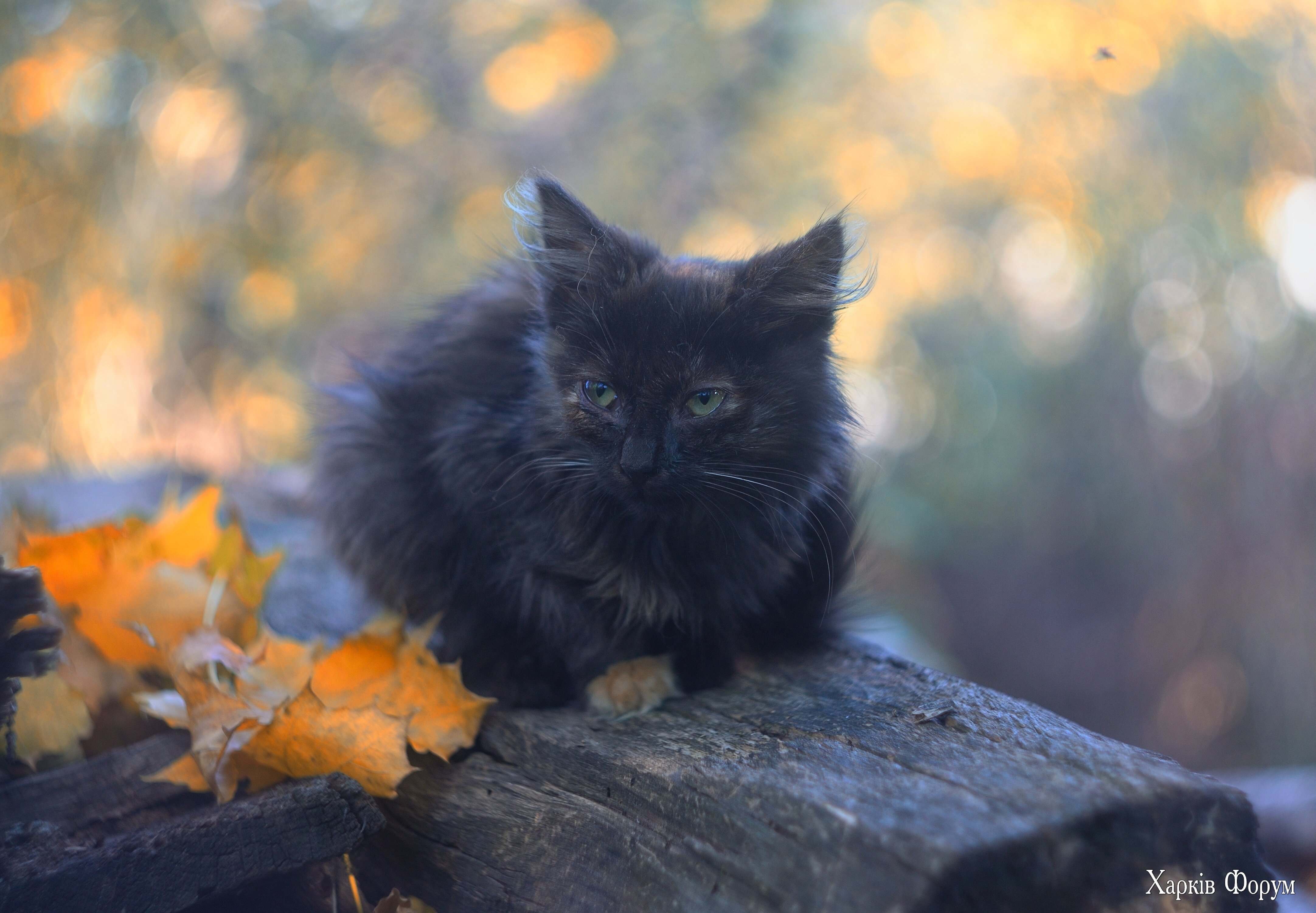 DSC_5105.jpg