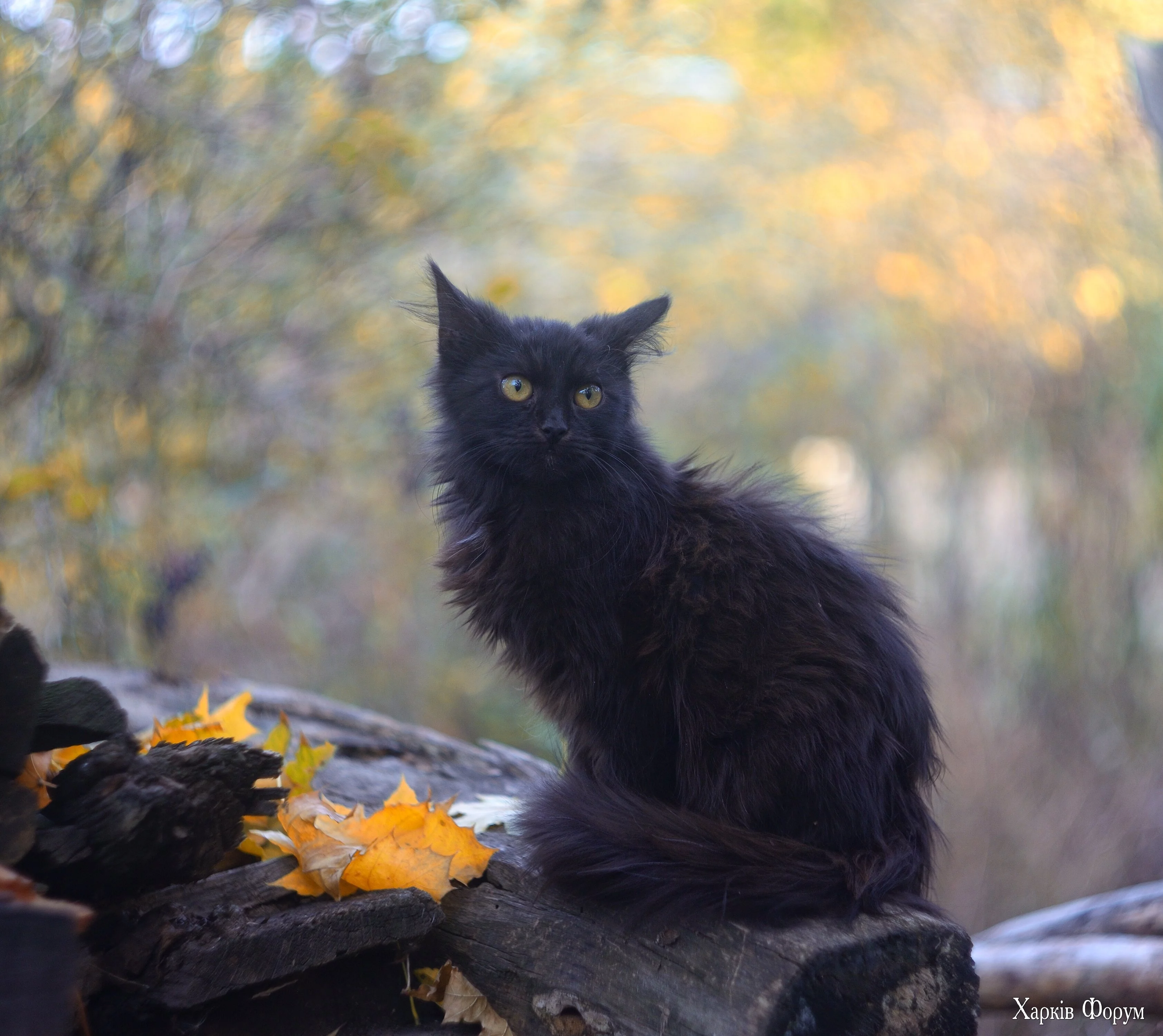 DSC_5125.webp