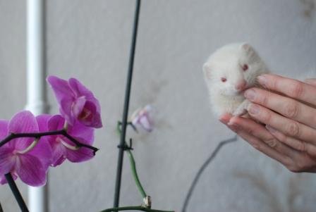 DSC_8825.jpg