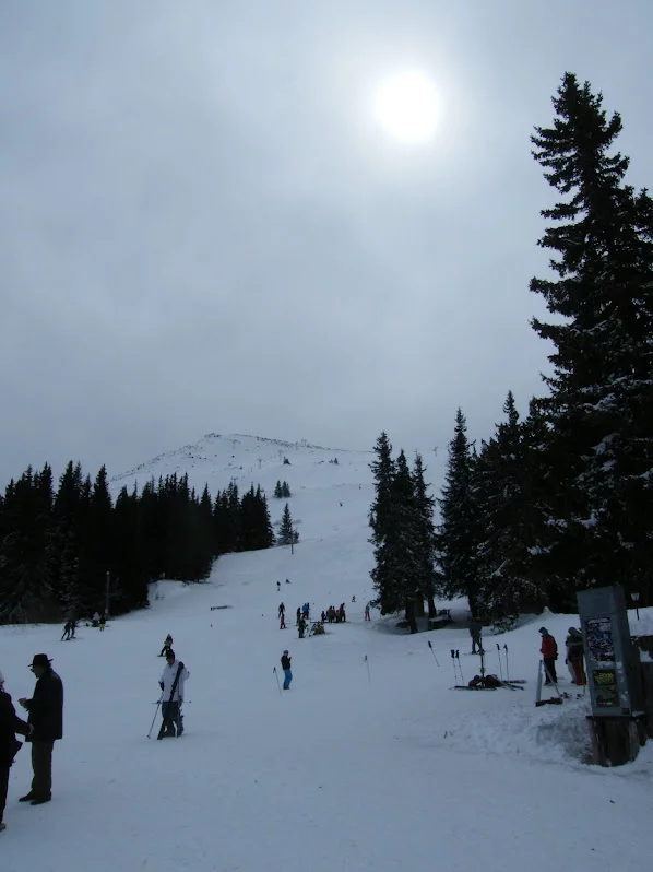 DSCF7766.webp