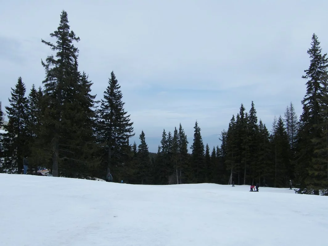 DSCF7768.webp