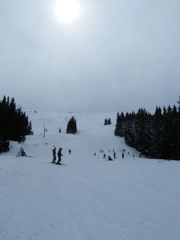 DSCF7769.webp