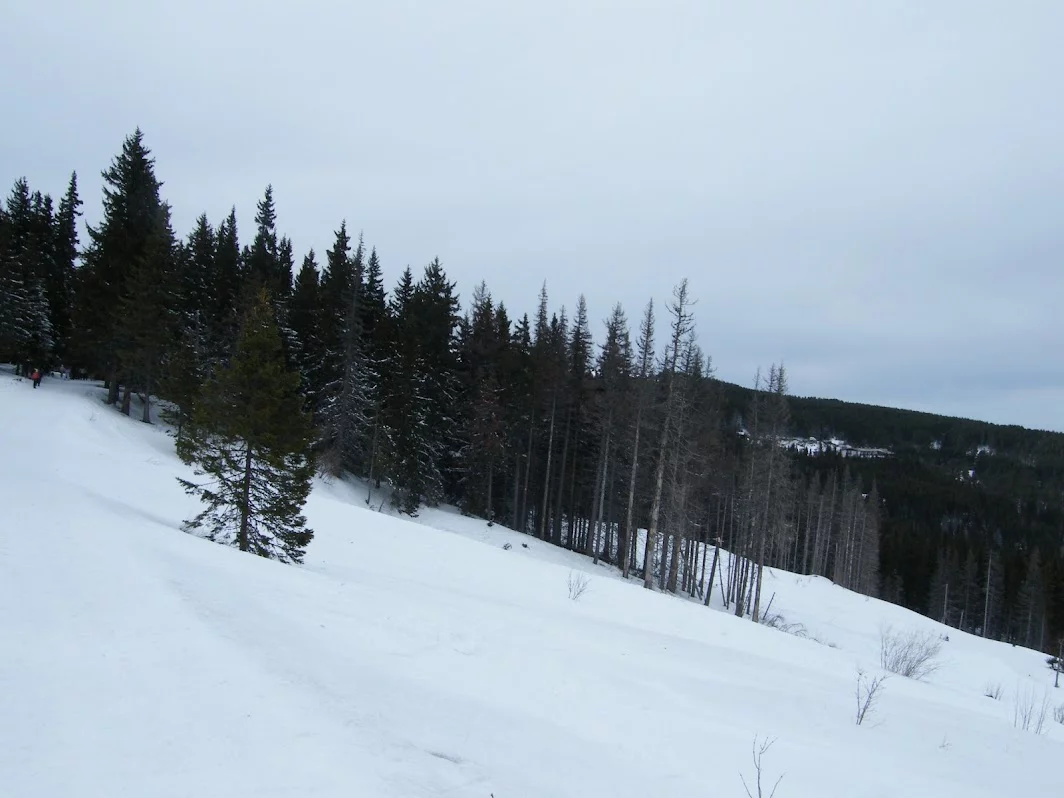 DSCF7780.webp