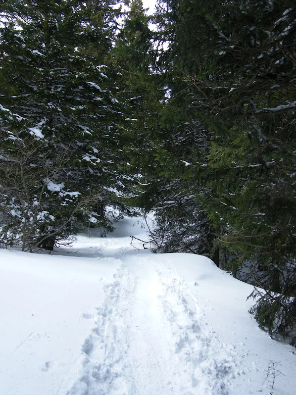 DSCF7817.webp