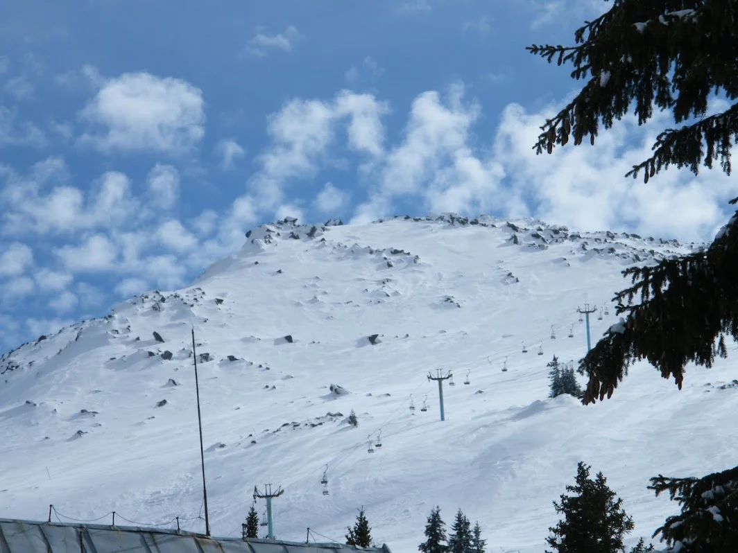 DSCF7830.webp