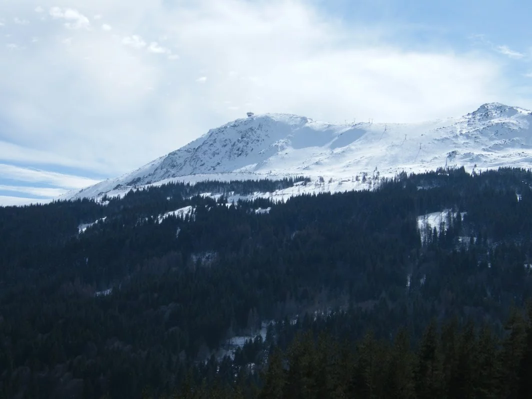 DSCF7840.webp