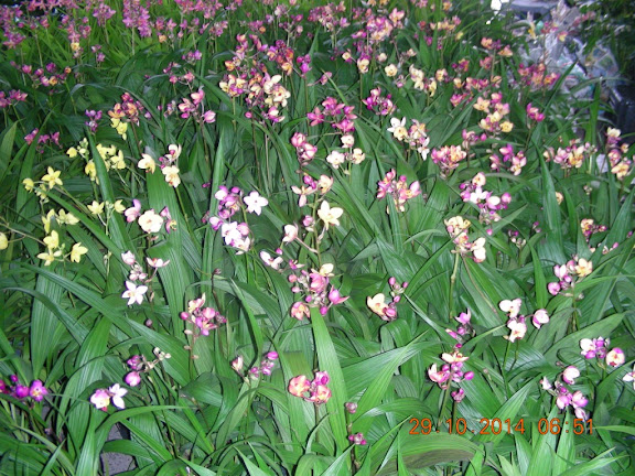 DSCN0314.jpg