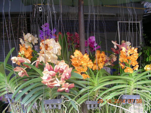 DSCN0370.jpg