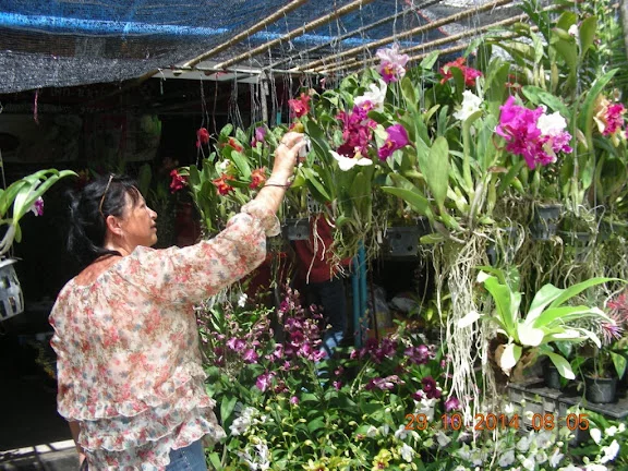 DSCN0378.webp