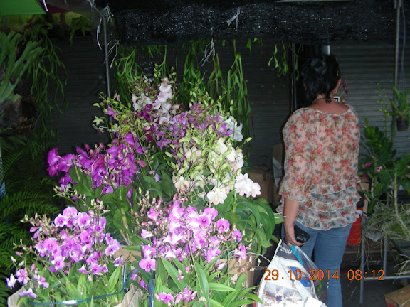 DSCN0405.jpg