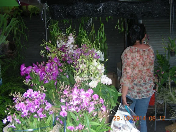 DSCN0405.webp
