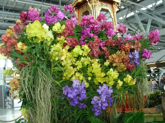 DSCN0460.webp
