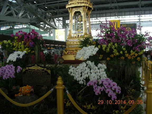 DSCN0462.webp