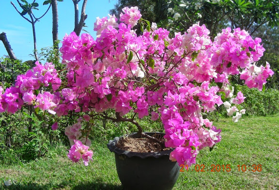 DSCN2884.jpg