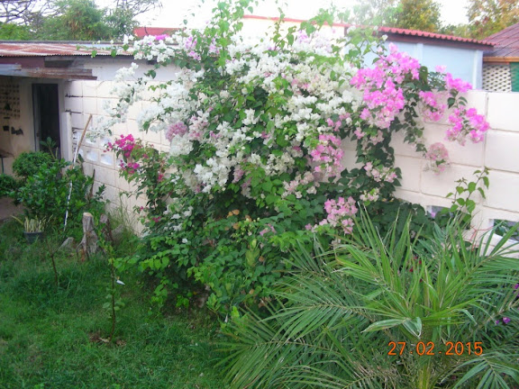 DSCN3336.jpg