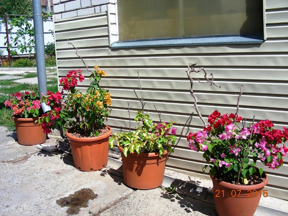 DSCN4922.jpg