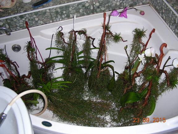 DSCN5872.jpg