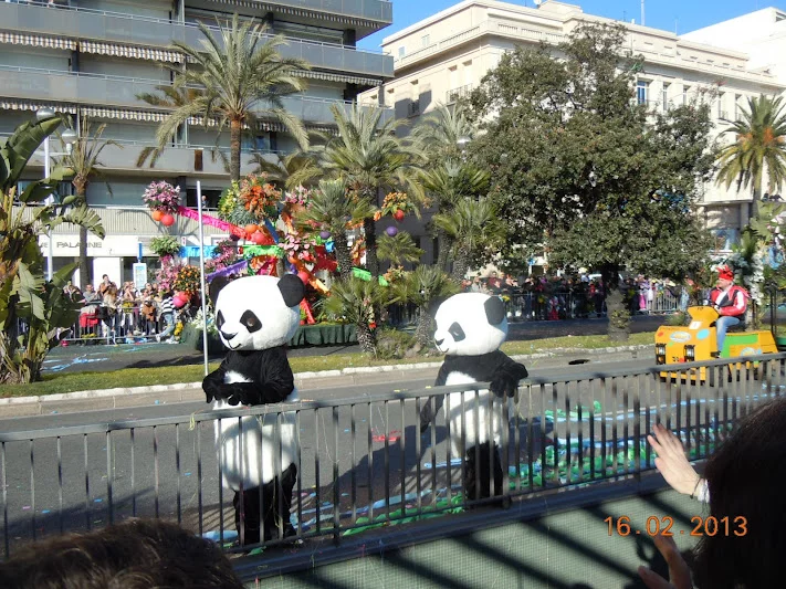 DSCN6692.webp