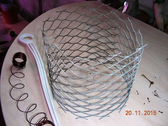 DSCN6701.jpg
