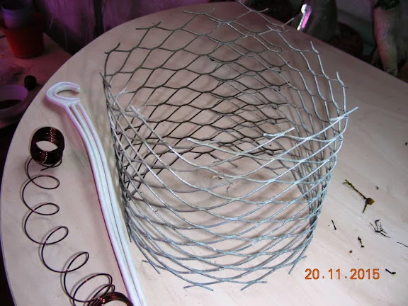 DSCN6701.webp