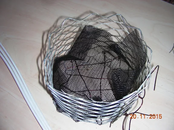 DSCN6704.webp