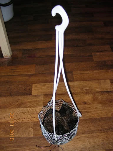 DSCN6705.webp
