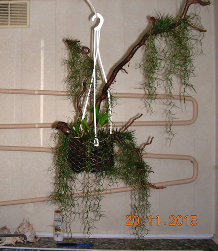 DSCN6714.jpg