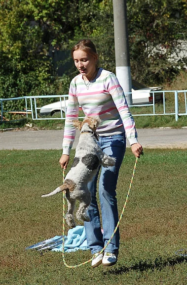 Dse_0461.webp
