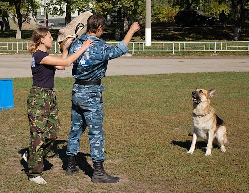 Dsg_0140.webp