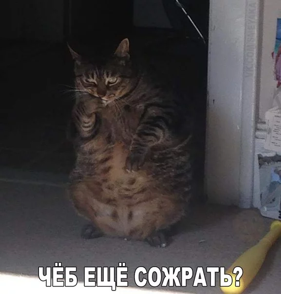 Dt05q81GnPQ.webp