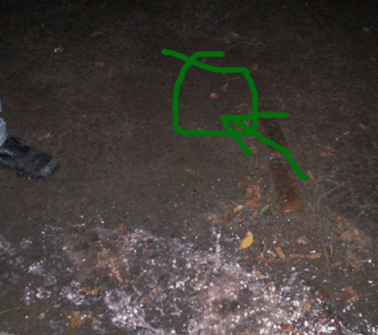 du1.gif