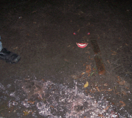 du2.gif