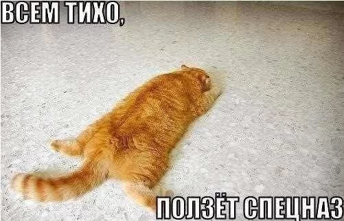 DYHobLDh7h4.webp