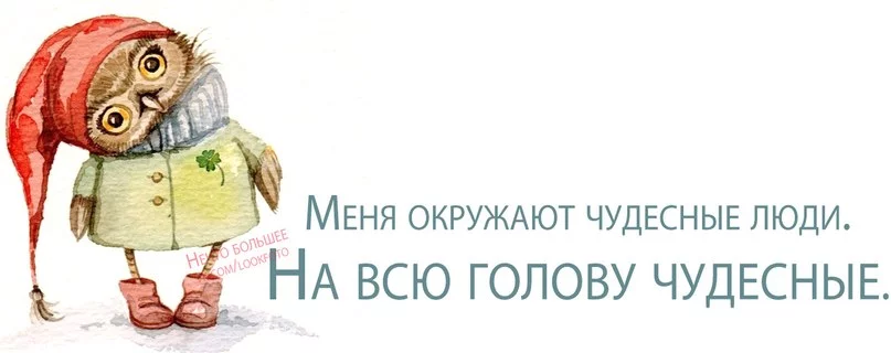 dysgE008dvU.webp
