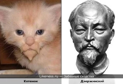 dzerzhinskiy_cat.webp