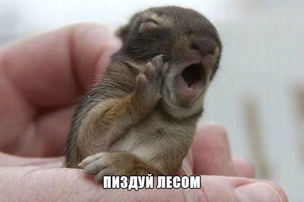 dzjXXQvP-rM.webp