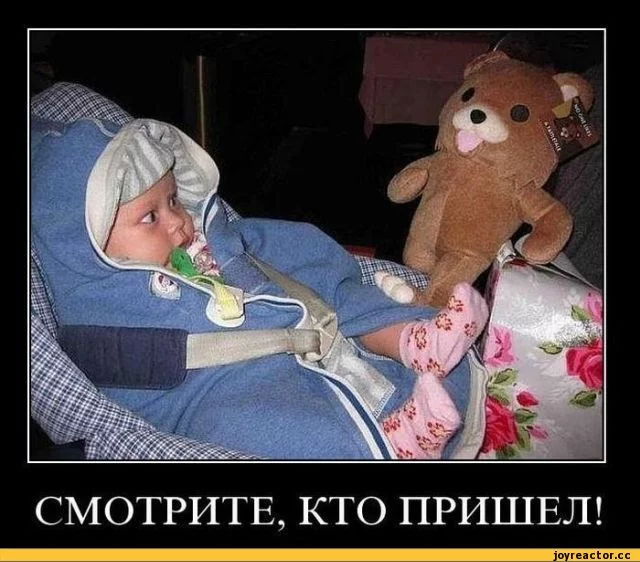 E%D0%B1%D0%B8%D1%80-%D0%B4%D0%B5%D1%82%D0%B8-37447.webp