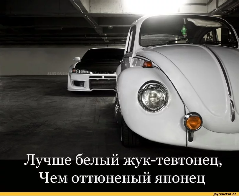 E%D0%BF%D1%80%D0%B8%D0%BA%D0%BE%D0%BB%D1%8B-562954.webp