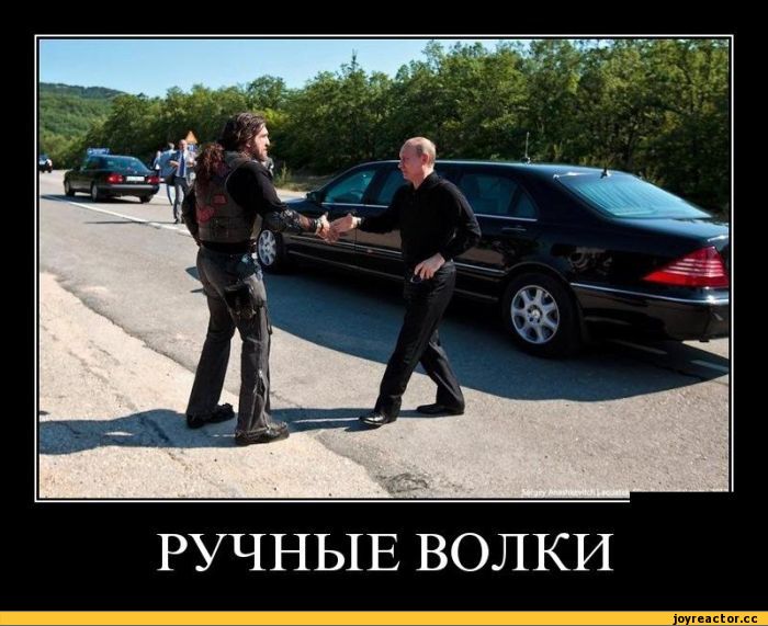 E%D1%82%D0%B8%D0%B2%D0%B0%D1%82%D0%BE%D1%80-300553.jpg