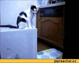 E%D1%82%D1%8D-%D0%B3%D0%B8%D1%84%D0%BA%D0%B8-61756.gif