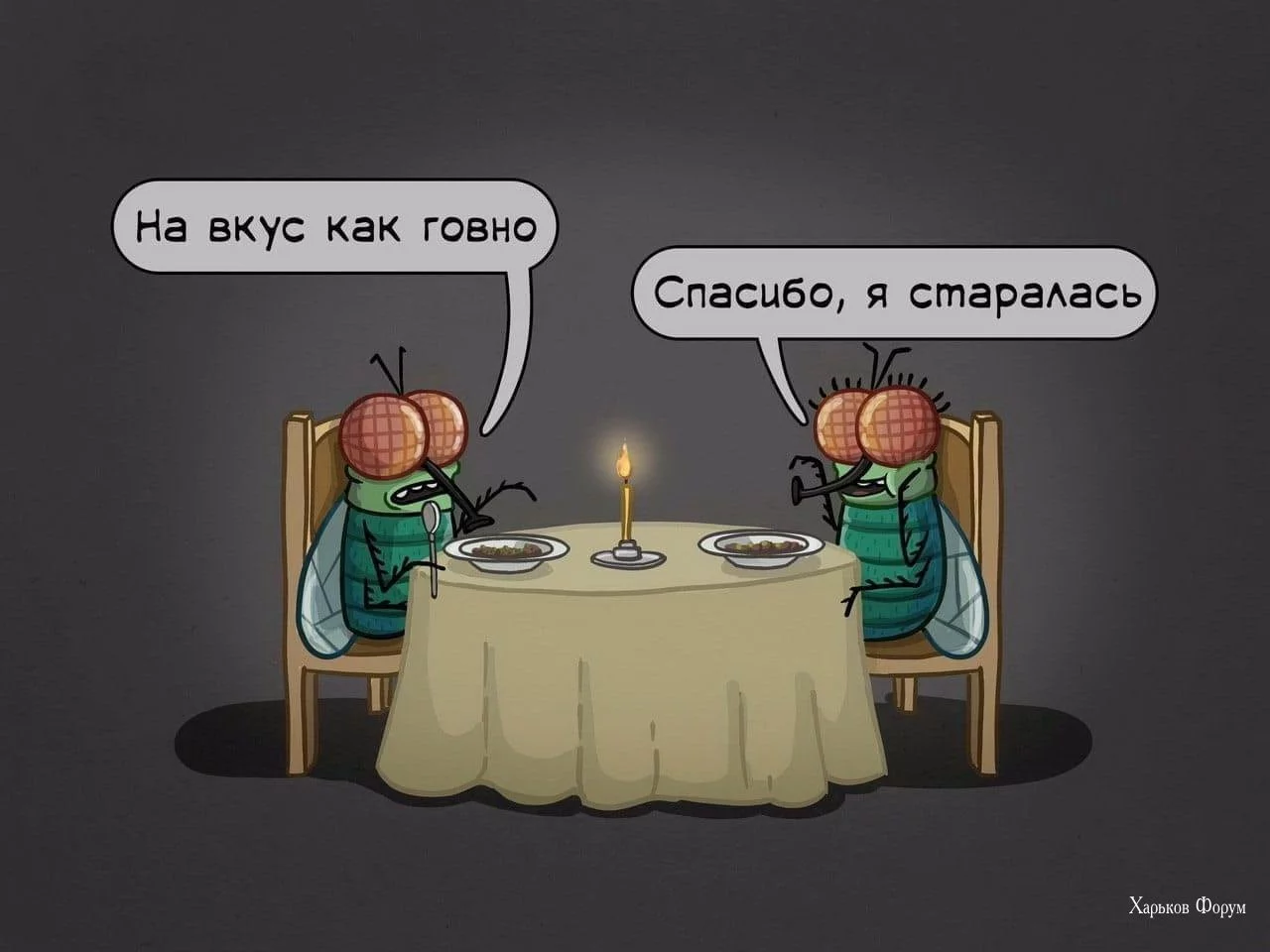 e00ce915d00ad172f886fae.webp