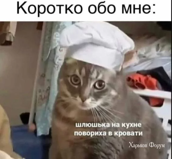 e02b55702f7282bf4d12a.webp